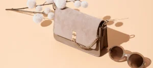 handbag ladyluxe